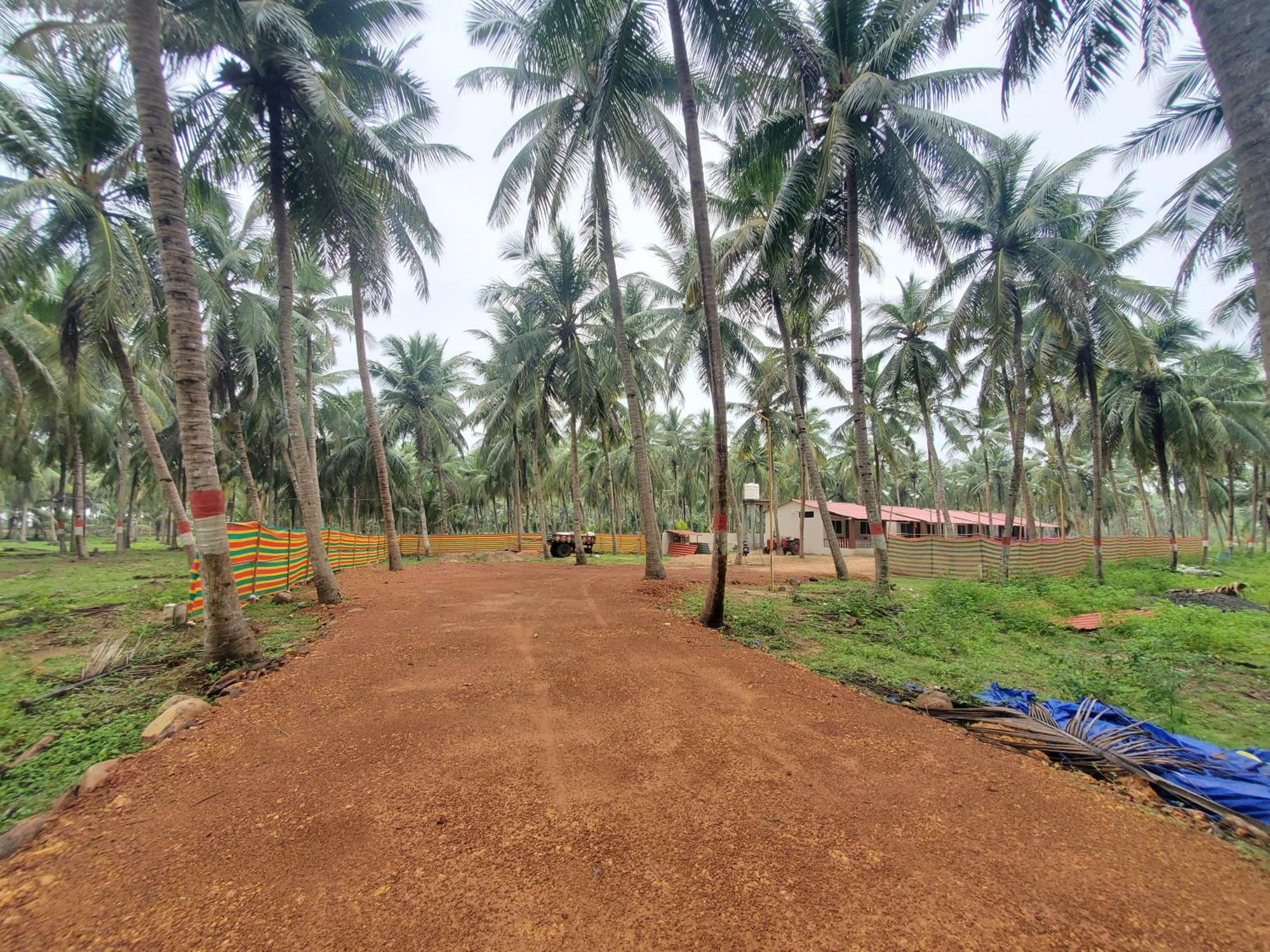 Coastline Beach Resort Perupalem Extérieur photo